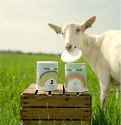 Pure Goat Company - Volledige Zuigelingenvoeding 1 - 800 Gram -Baby Peuter Winkel 1164x1200 2