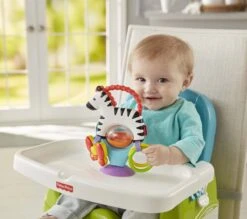 Fisher Price - Activity Zebra - Rammelaar - Speeltje En Bijtring - Grijpspeelgoed -Baby Peuter Winkel 1200x1064 1