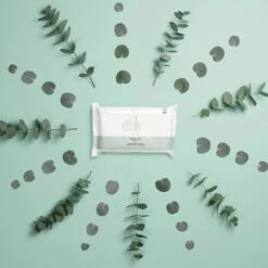 Naïf Plasticvrije Billendoekjes - Voordeelverpakking Box 8 Stuks - 54 Doekjes Per Pak - Met Natuurlijke Ingrediënten -Baby Peuter Winkel 1200x1200 102