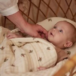 Jollein Deken Hydrofiel Wieg 75x100cm Rosehip -Baby Peuter Winkel 1200x1200 1064