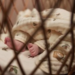 Jollein Deken Hydrofiel Wieg 75x100cm Rosehip -Baby Peuter Winkel 1200x1200 1069