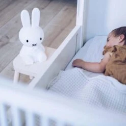 Mr. Maria Mr Maria - Nijntje Eerste Licht - 30 Cm - Dimbaar - Oplaadbaar 37 Mr. Maria Mr Maria - Nijntje Eerste Licht - 30 Cm - Dimbaar - Oplaadbaar -Baby Peuter Winkel 1200x1200 1507