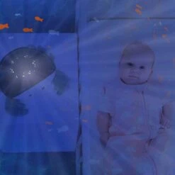 ZAZU - Cody Ocean Projector - Slaaptrainers 28 ZAZU - Cody Ocean Projector - Slaaptrainers -Baby Peuter Winkel 1200x1200 1647