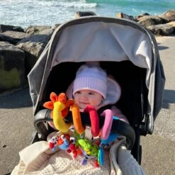 Playgro Boxspiraal Amazing Garden Twirly Whirly - Kinderwagen Speeltje - Activiteitenspiraal -Baby Peuter Winkel 1200x1200 2215