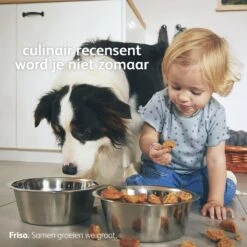 Friso 3 - Opvolgmelk - Vanaf 10 Maanden - 700g - Doos 19 Friso 3 - Opvolgmelk - Vanaf 10 Maanden - 700g - Doos -Baby Peuter Winkel 1200x1200 2560