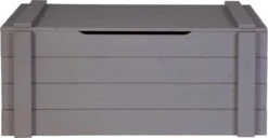 WOOOD Dennis Speelgoedkist - Grenen - Staal Grijs - 42x90x42 12 WOOOD Dennis Speelgoedkist - Grenen - Staal Grijs - 42x90x42 -Baby Peuter Winkel 1200x623 2