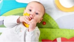 Tiny Love Supermat Speelmat - Meadow Days -Baby Peuter Winkel 1200x678 5