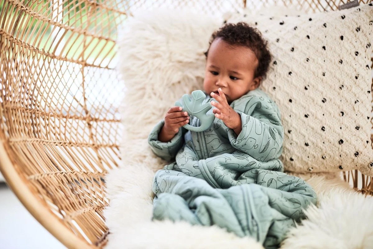 Jollein Baby Baby Winterslaapzak 4-Seizoenen 110cm Whales - Ash Green 16 Jollein Baby Baby Winterslaapzak 4-Seizoenen 110cm Whales - Ash Green - Afbeelding 14