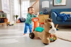 Fisher Price Fisher-Price Pony Loopvriendje - Looptrainer Baby - Bruin - Groen -Baby Peuter Winkel 1200x800 453