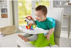 Fisher Price - Activity Zebra - Rammelaar - Speeltje En Bijtring - Grijpspeelgoed -Baby Peuter Winkel 1200x835 2