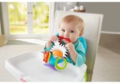 Fisher Price - Activity Zebra - Rammelaar - Speeltje En Bijtring - Grijpspeelgoed -Baby Peuter Winkel 1200x842 3