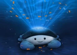 ZAZU - Cody Ocean Projector - Slaaptrainers 24 ZAZU - Cody Ocean Projector - Slaaptrainers -Baby Peuter Winkel 1200x857 3