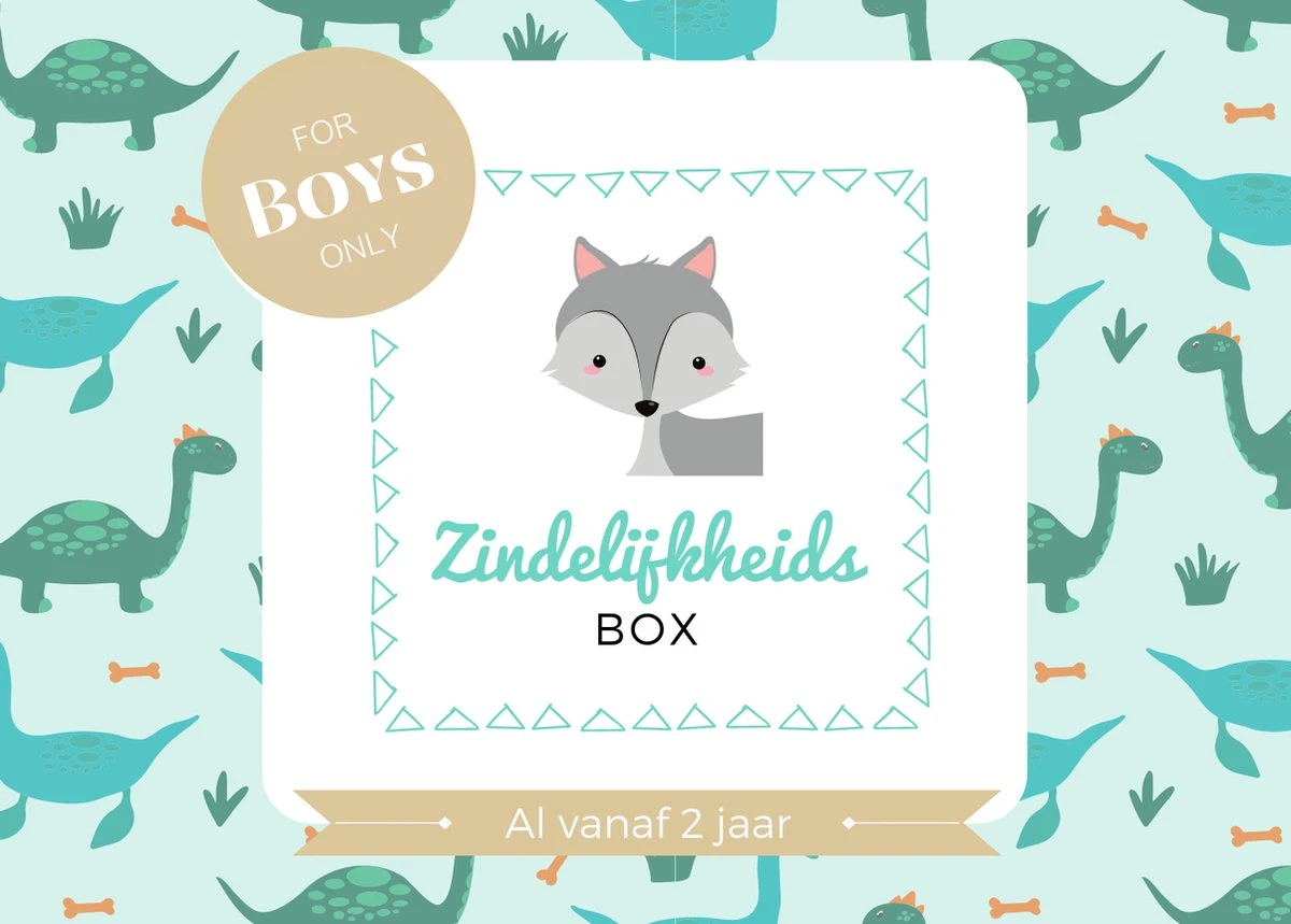 Zindelijkheidsbox - Jongen Editie - Zindelijkheidstraining Kind - Vanaf 2 Jaar - Incl Beloningssysteem - Gratis Online Support 3 Zindelijkheidsbox - Jongen Editie - Zindelijkheidstraining Kind - Vanaf 2 Jaar - Incl Beloningssysteem - Gratis Online Support