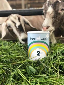 Pure Goat Company - Opvolgmelk 3 - Biologische Flesvoeding Op Basis Van Volle Geitenmelk - 800 Gram -Baby Peuter Winkel 900x1200 51